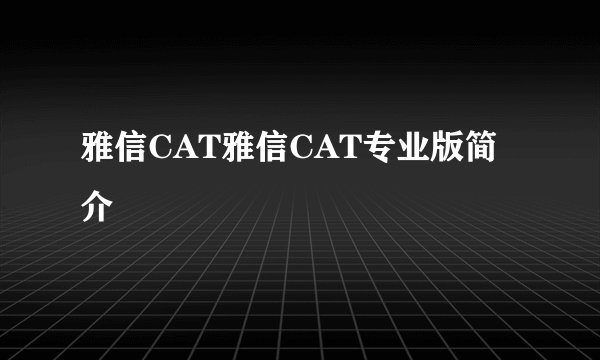 雅信CAT雅信CAT专业版简介