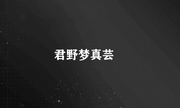 君野梦真芸暦