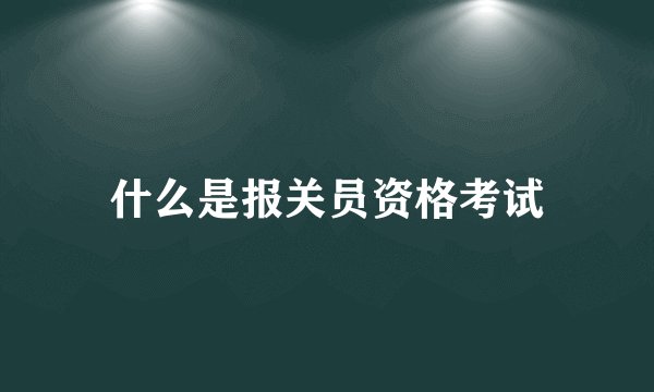 什么是报关员资格考试