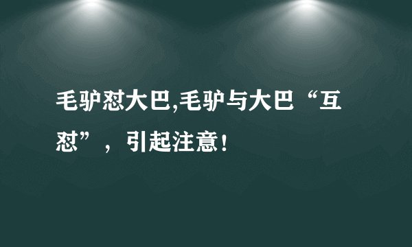毛驴怼大巴,毛驴与大巴“互怼”，引起注意！