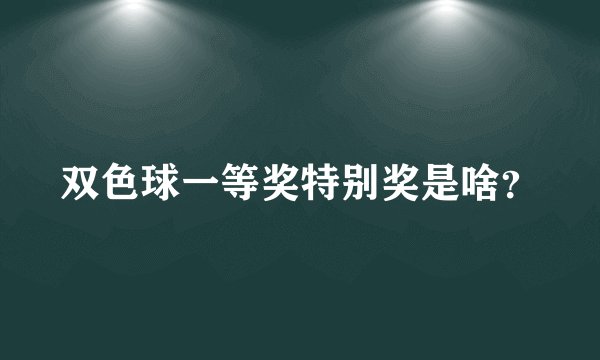 双色球一等奖特别奖是啥？