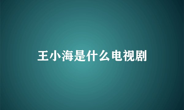 王小海是什么电视剧
