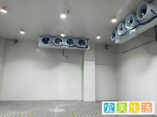 建立大型物流冷库，需要投资多少钱？?