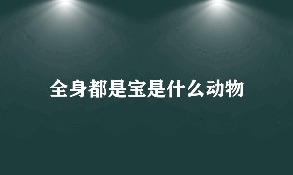全身都是宝是什么动物