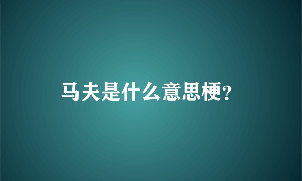 马夫是什么意思梗？