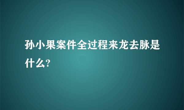 孙小果案件全过程来龙去脉是什么?