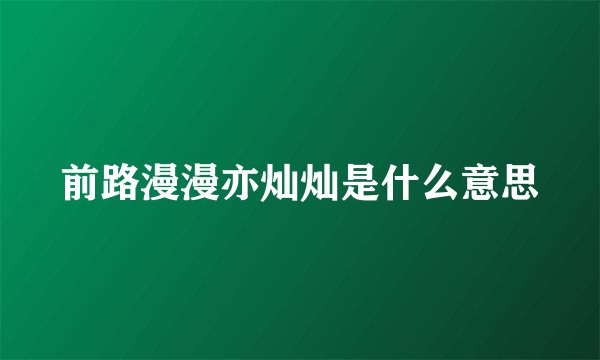 前路漫漫亦灿灿是什么意思