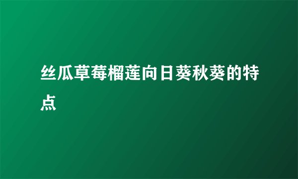 丝瓜草莓榴莲向日葵秋葵的特点