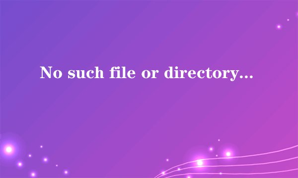 No such file or directory是怎么回事