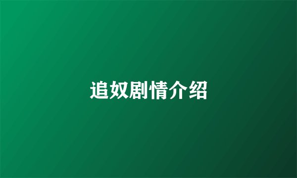 追奴剧情介绍