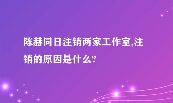 陈赫同日注销两家工作室,注销的原因是什么?