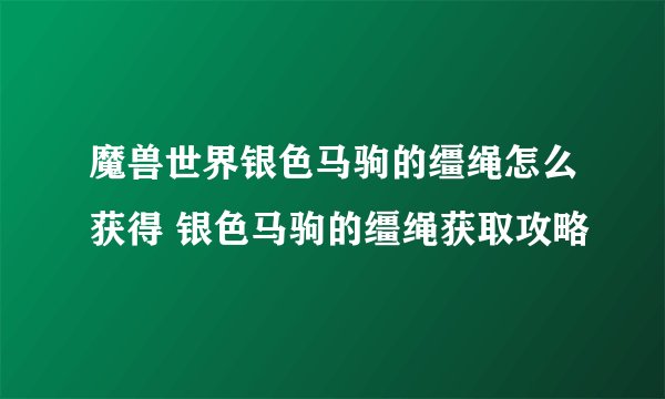 魔兽世界银色马驹的缰绳怎么获得 银色马驹的缰绳获取攻略