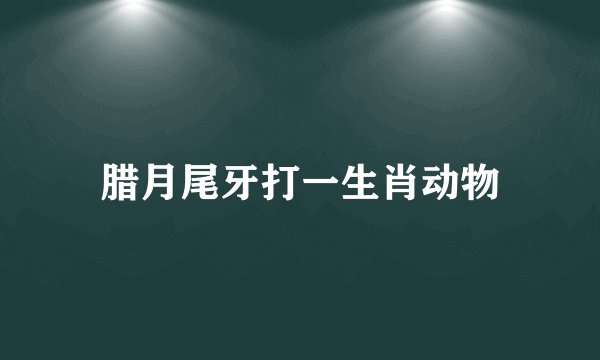 腊月尾牙打一生肖动物