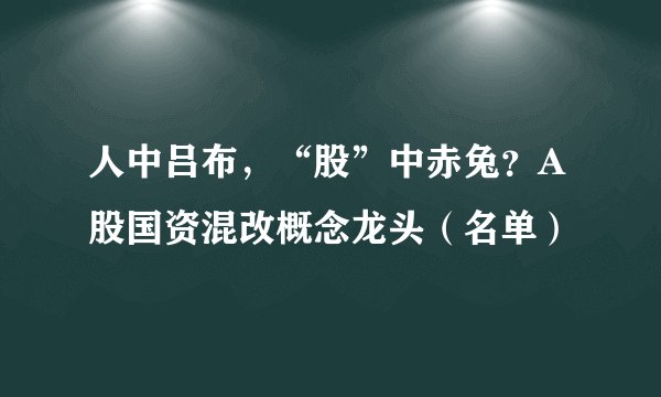 人中吕布，“股”中赤兔？A股国资混改概念龙头（名单）