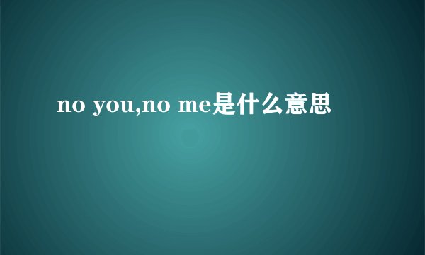 no you,no me是什么意思