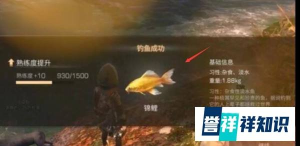 明日之后锦鲤很好钓,这方法一钓一个准!