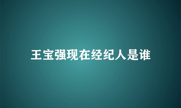王宝强现在经纪人是谁
