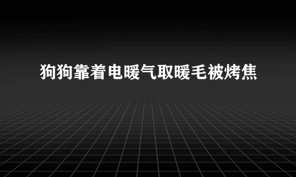 狗狗靠着电暖气取暖毛被烤焦