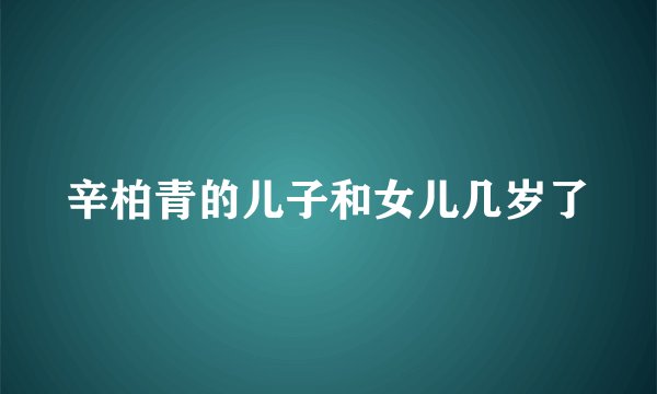 辛柏青的儿子和女儿几岁了