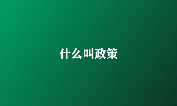 什么叫政策
