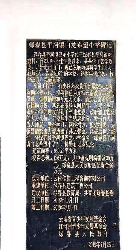 解读“饭圈女孩”