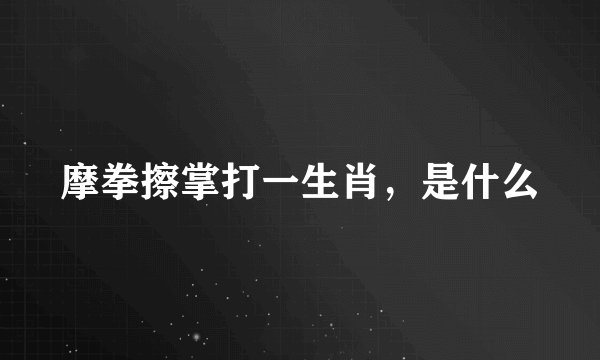 摩拳擦掌打一生肖，是什么
