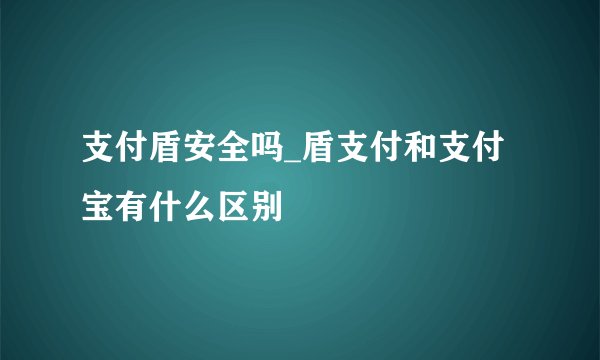 支付盾安全吗_盾支付和支付宝有什么区别