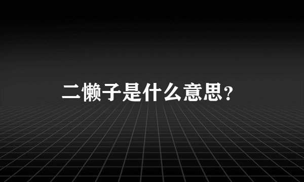 二懒子是什么意思？