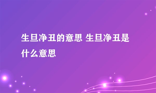 生旦净丑的意思 生旦净丑是什么意思