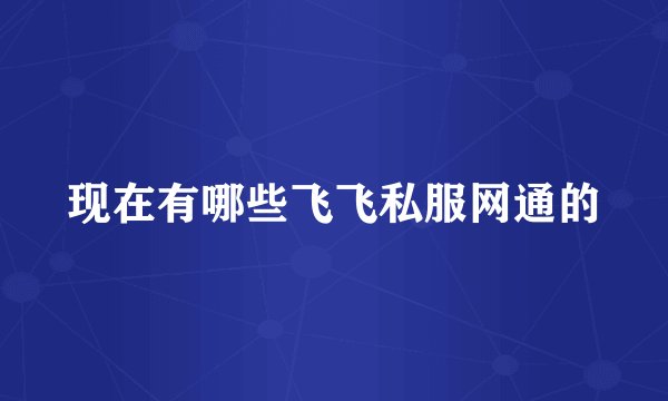 现在有哪些飞飞私服网通的