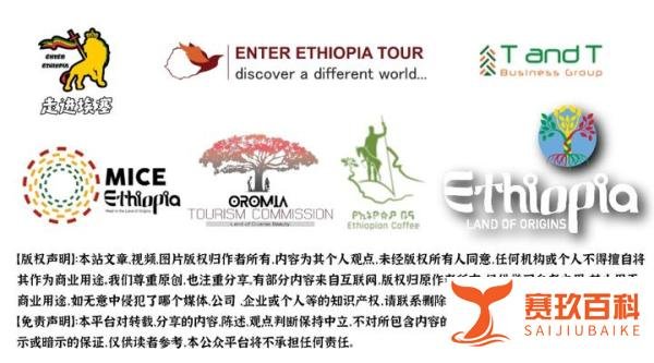 俄罗斯向乌克兰正式宣战！埃塞俄比亚网民“摇旗呐喊”……