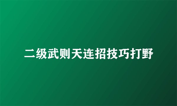 二级武则天连招技巧打野
