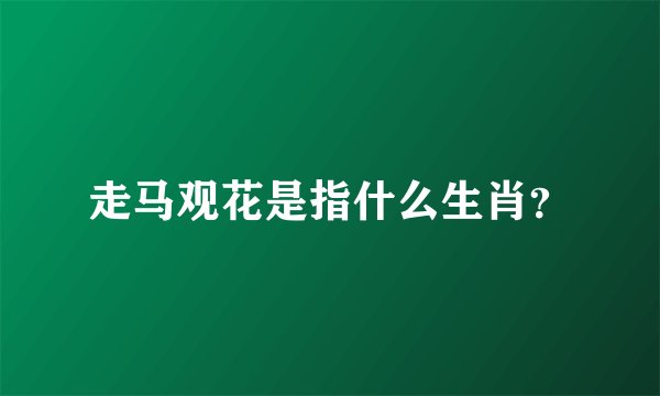 走马观花是指什么生肖？