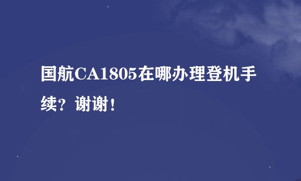 国航CA1805在哪办理登机手续？谢谢！
