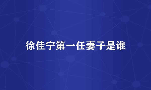 徐佳宁第一任妻子是谁