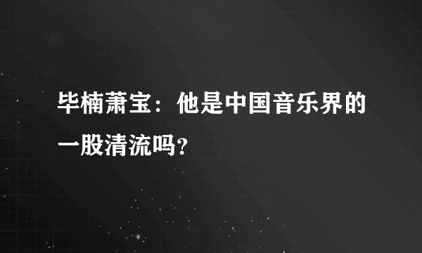 毕楠萧宝：他是中国音乐界的一股清流吗？