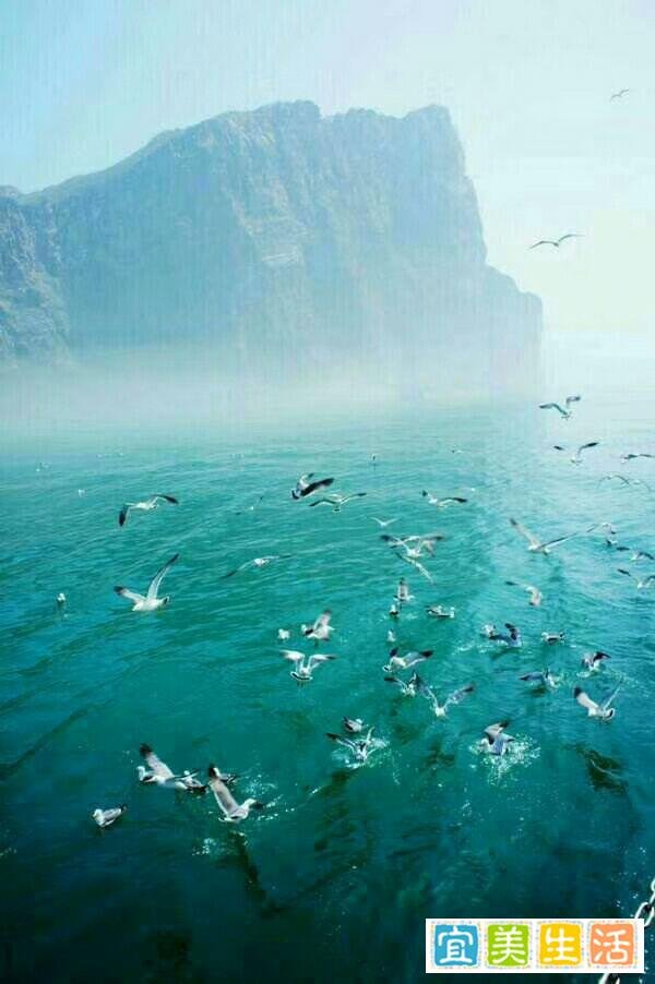 “人类在2012年其实就已经死了”-《康宗宪的青葱岁月》第45季