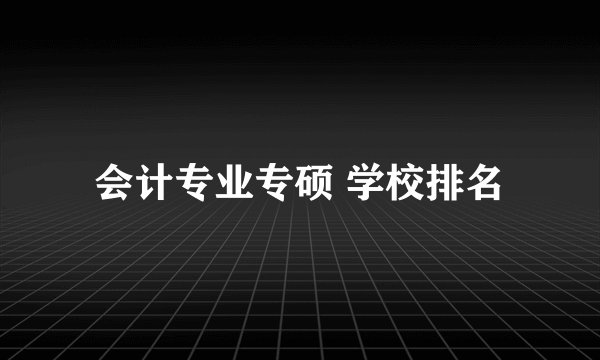 会计专业专硕 学校排名