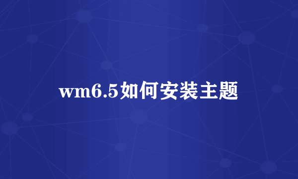 wm6.5如何安装主题