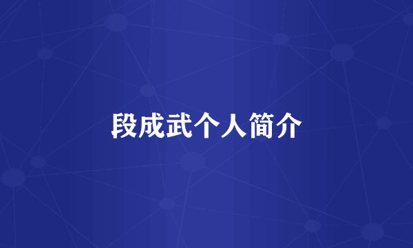 段成武个人简介