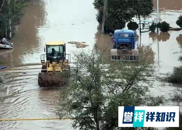 降雨导致陕西大荔23.9万人受灾 这是咋情况?