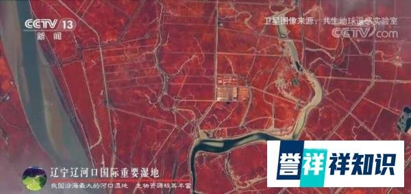 卫星视角感受湿地保护成效 这是咋情况？