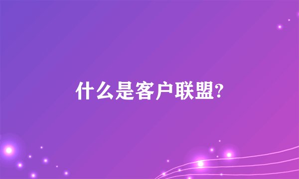 什么是客户联盟?