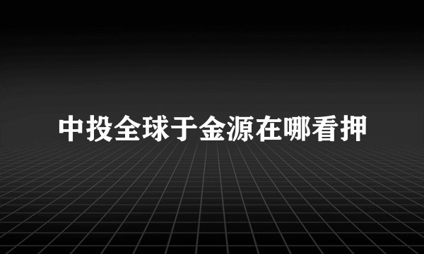 中投全球于金源在哪看押