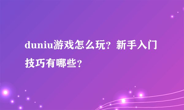 duniu游戏怎么玩？新手入门技巧有哪些？