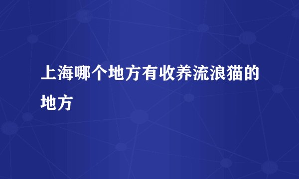 上海哪个地方有收养流浪猫的地方