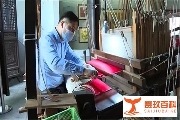 大学生隐瞒学历进厂大螺丝，谁之过？