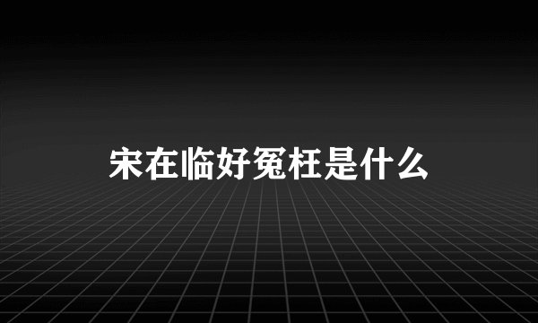 宋在临好冤枉是什么