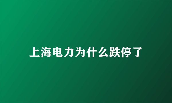 上海电力为什么跌停了