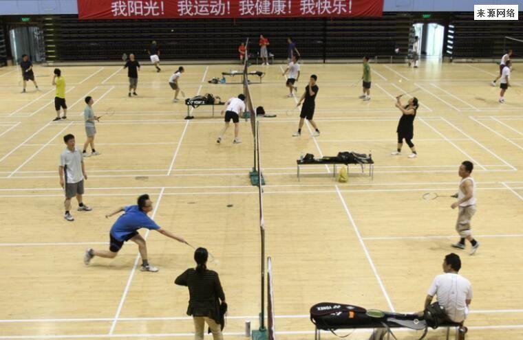 丹麦羽毛球队就推搡中国教练道歉 原来是这样的